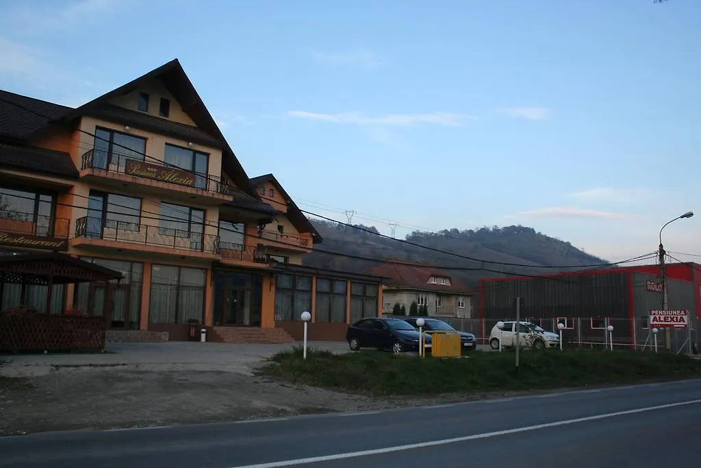 Pensiunea Alexia-1