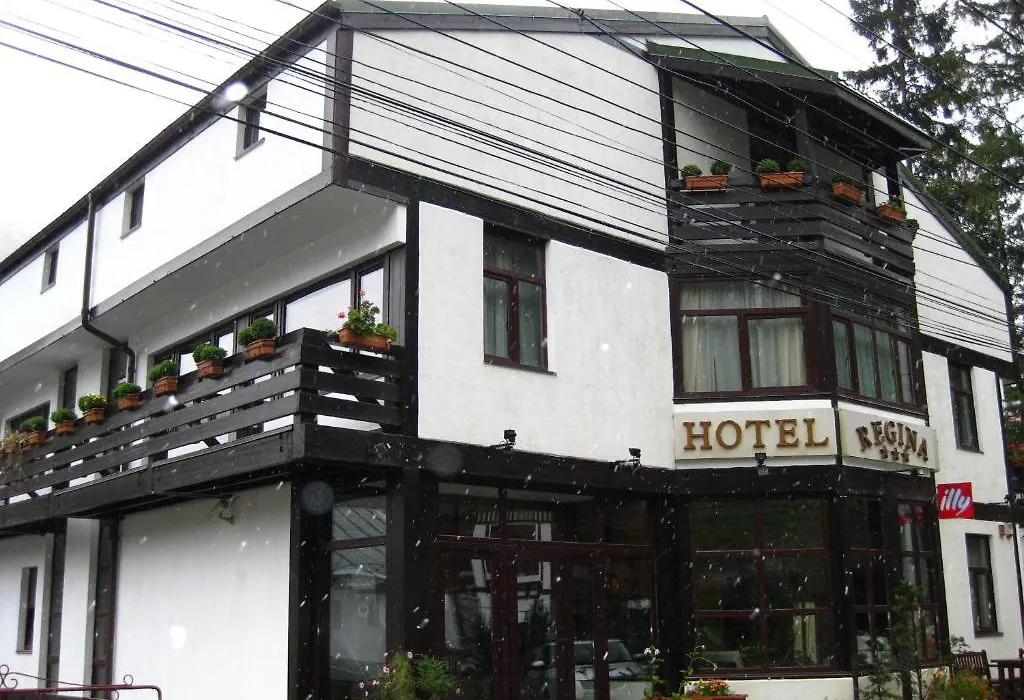 Hotel Regina-1