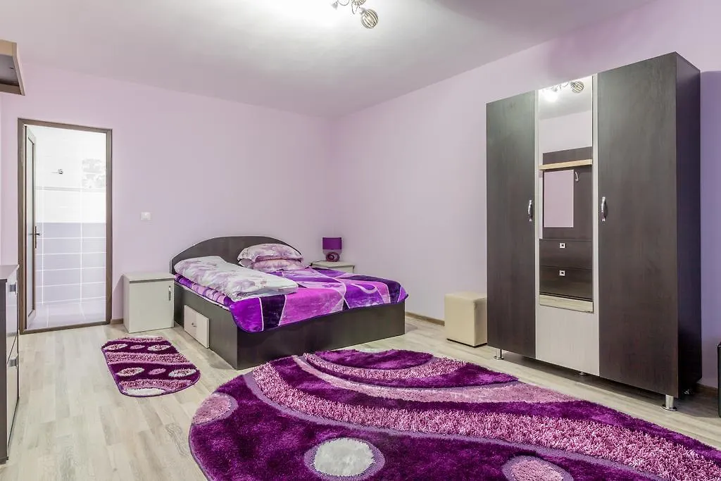 Conacul lui Bulică-1