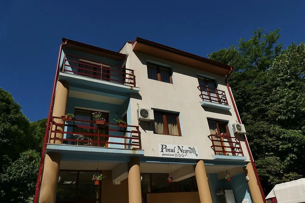 Pensiunea Pinul Negru-1