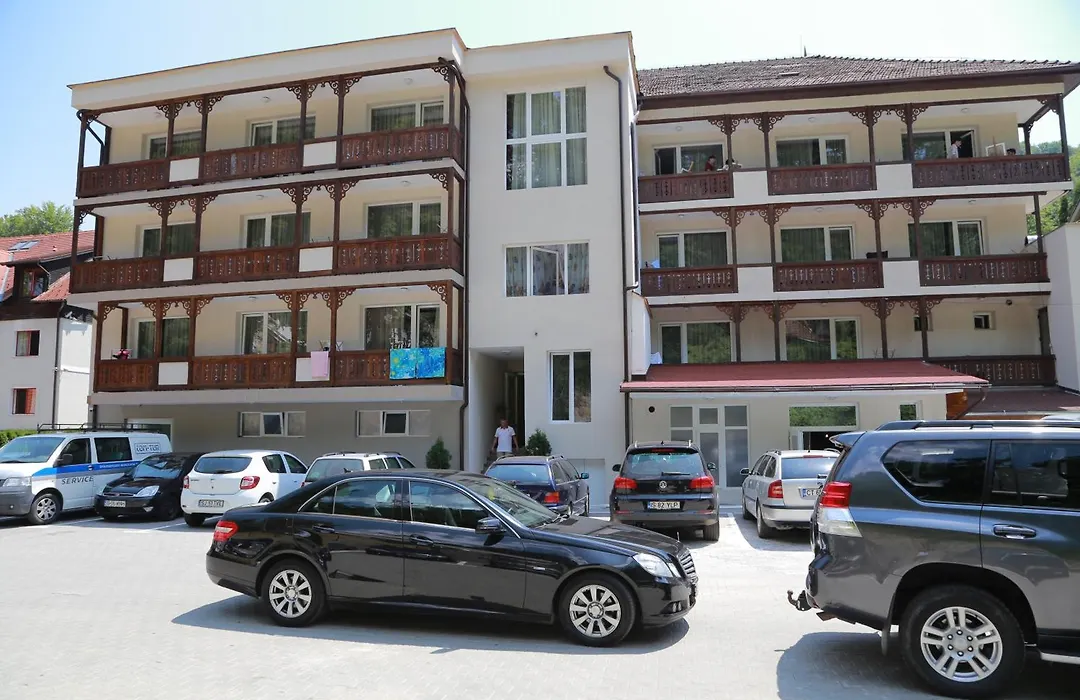 Hotel Muresul Health Spa-1