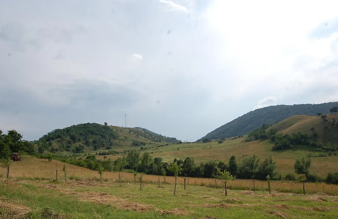Motel Prislop-1