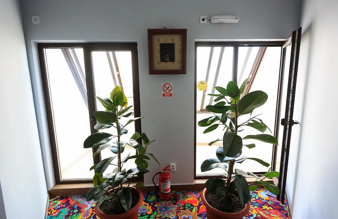 Corner Center Rental-1