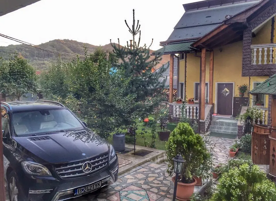 Pensiunea La Răducu-1
