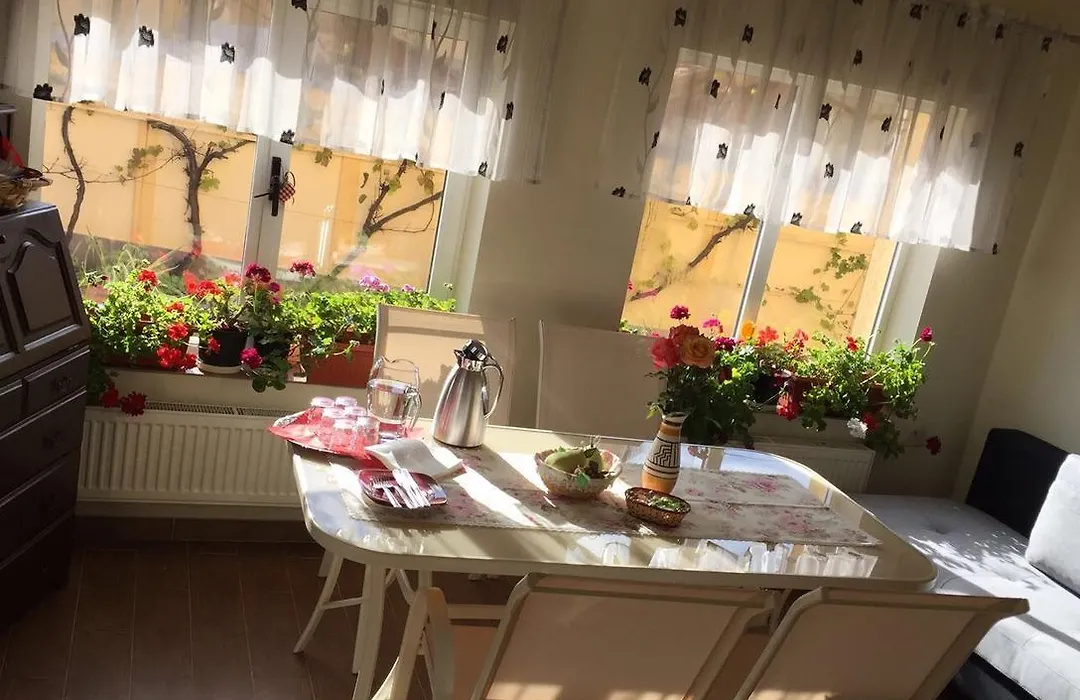 Casa Florea-1