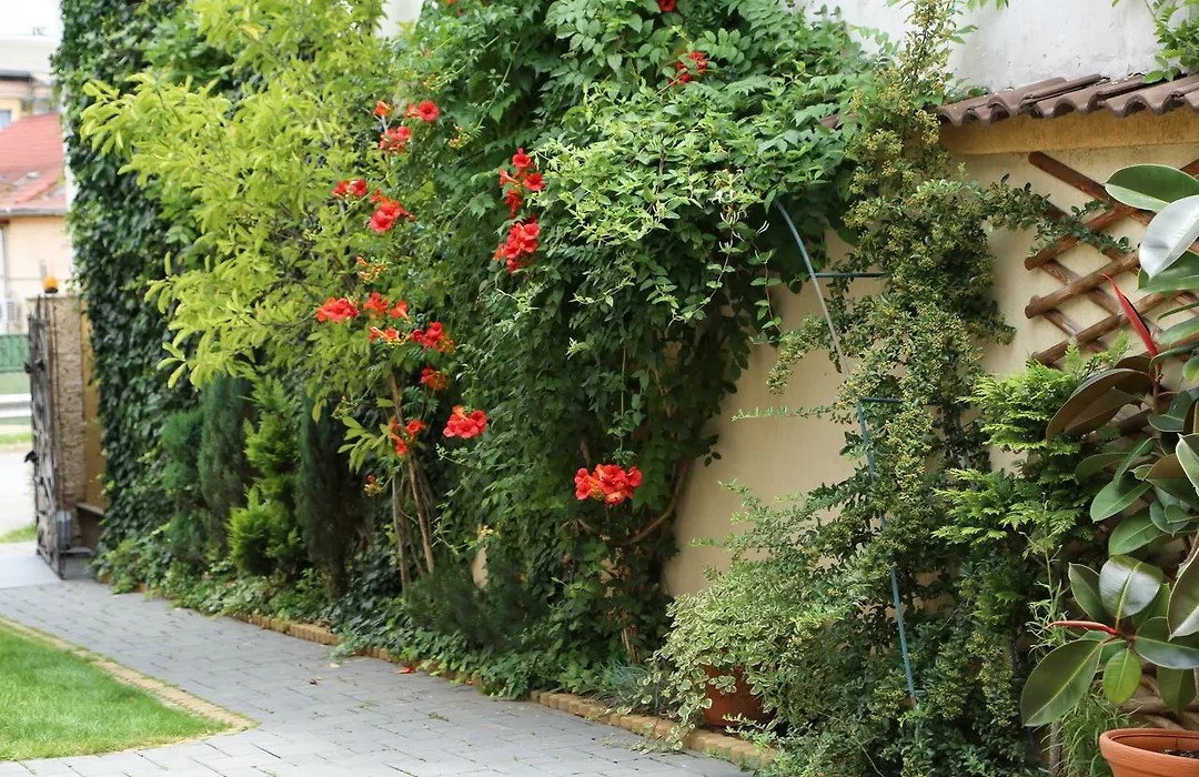 Oli House-1