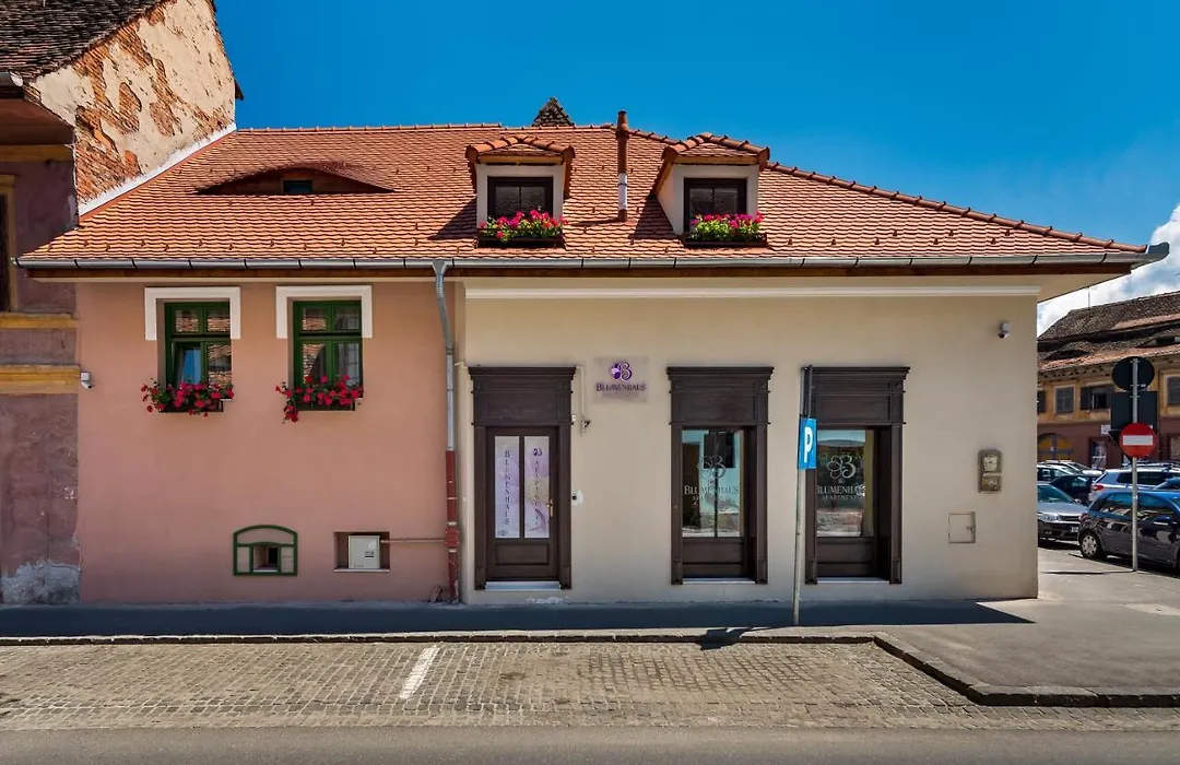 Blumenhaus Sibiu-1
