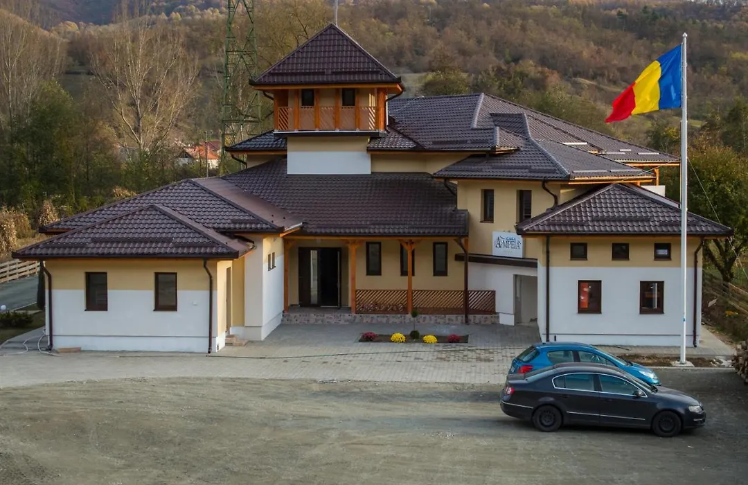 Pensiune Casa Ampeia-1