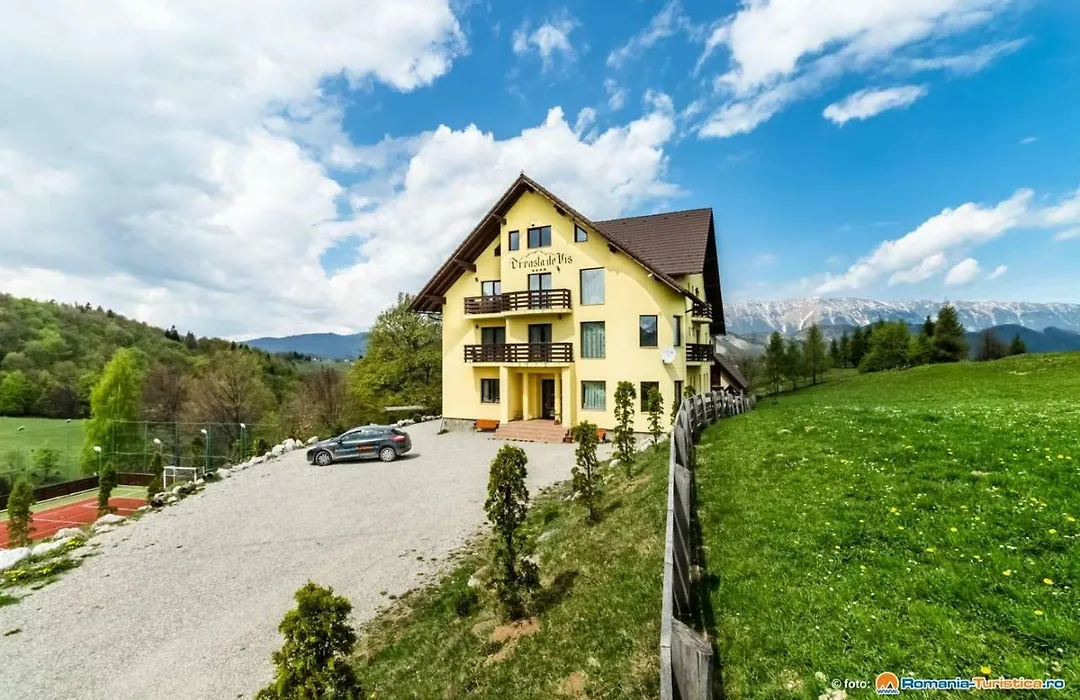 Pension Creasta de Vis-1