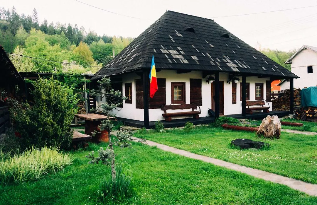 Casa Rareş Suceviţa-1