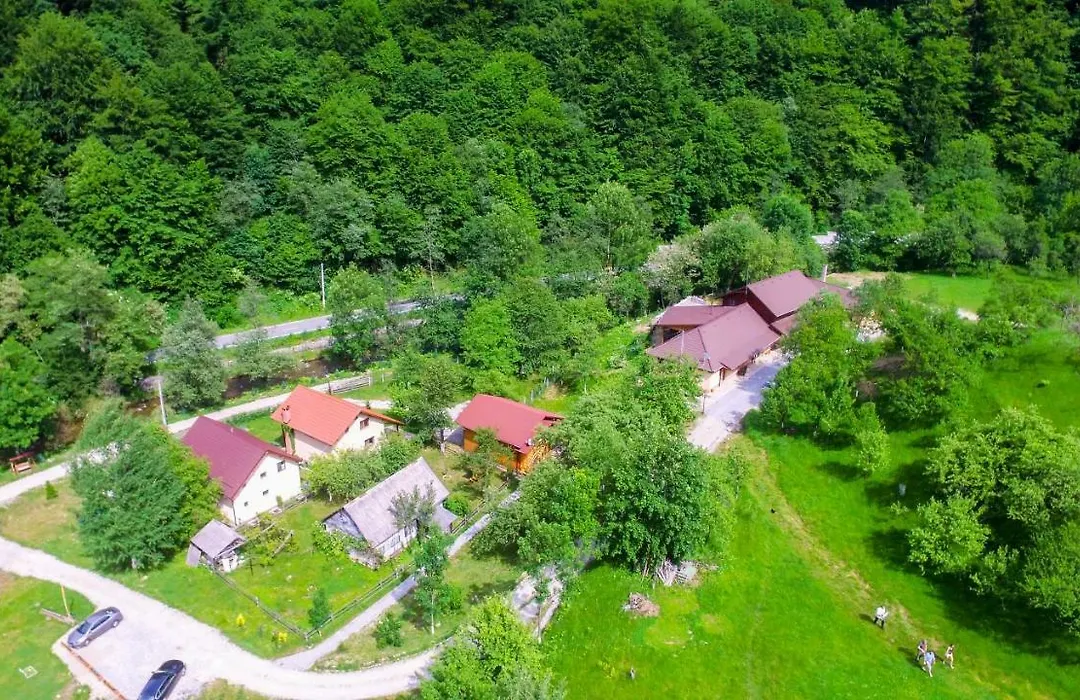 Pensiunea Lupul Dacic-1