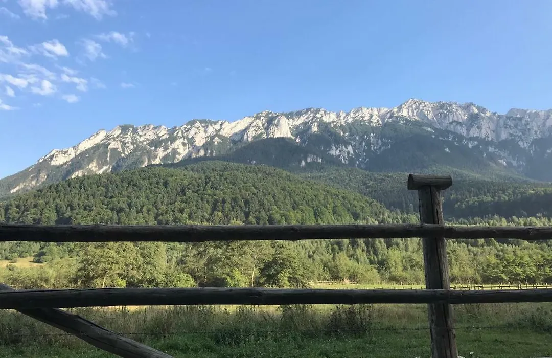 Pensiunea Kyfana Zarnesti-1