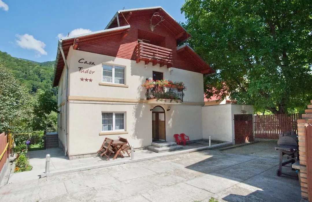 Casa Tudor-1