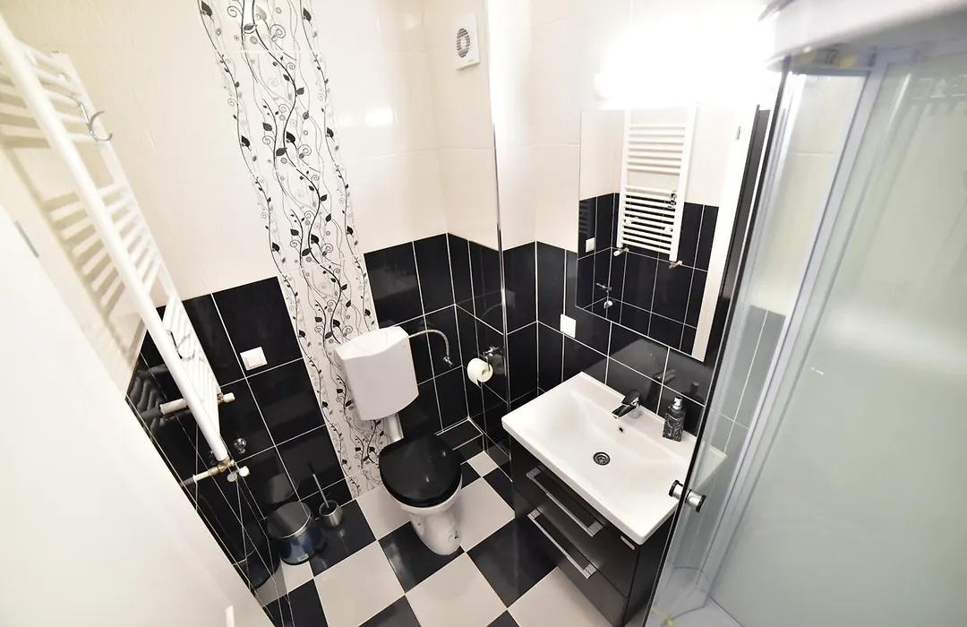 Sibiu City Residence-1