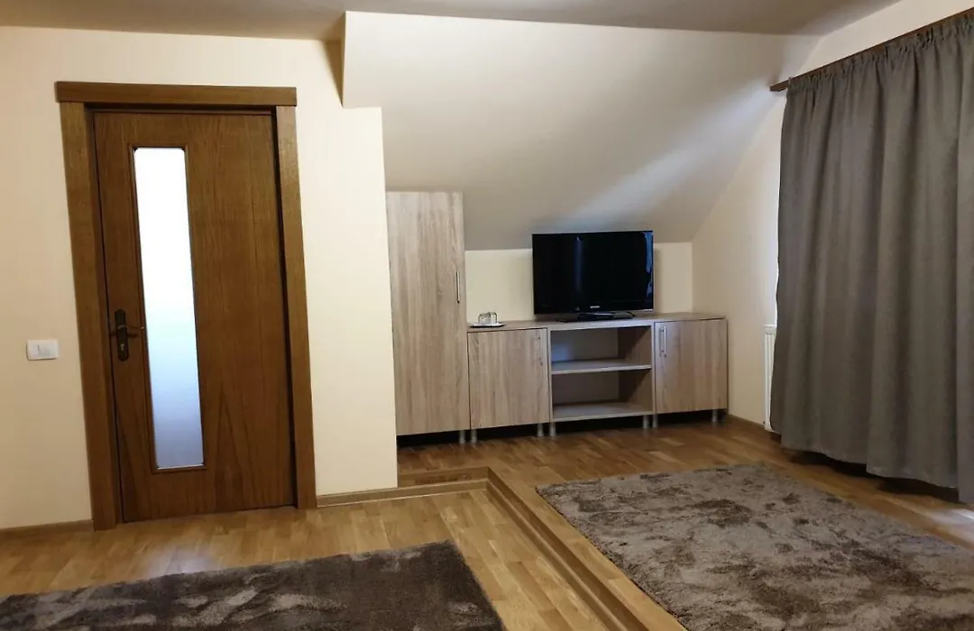 Casa Enescu-1