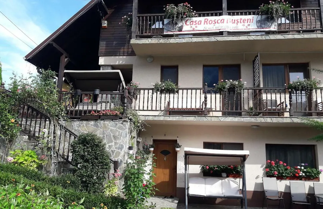 Casa Rosca Busteni-1