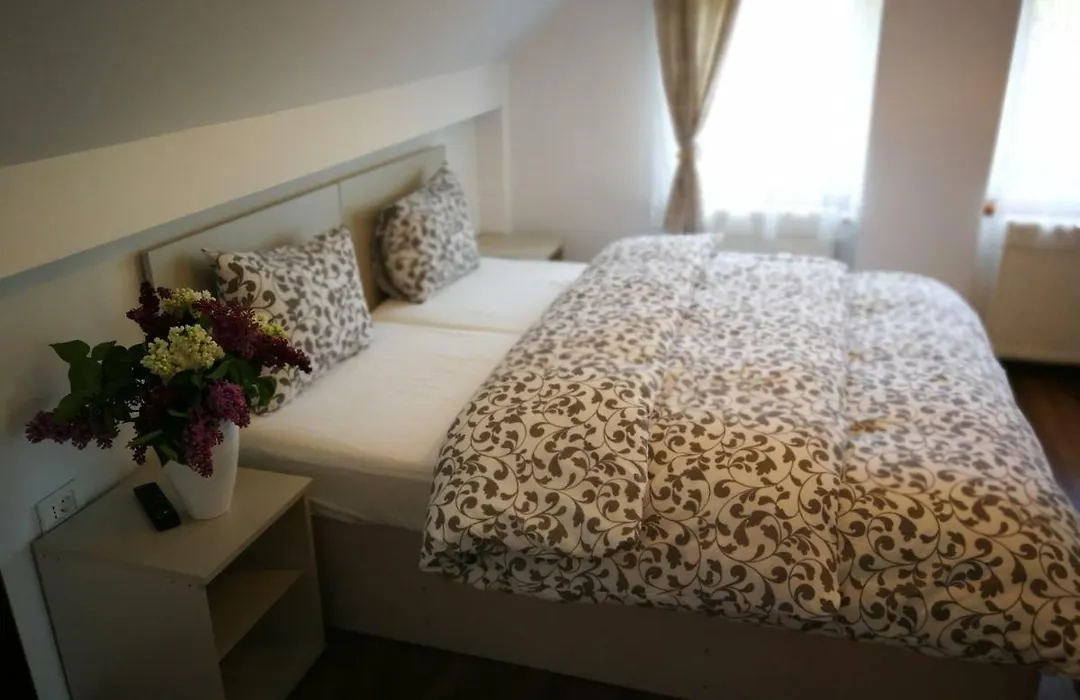 Coroni Residence - Cazare Delegati si Muncitori Brasov-1