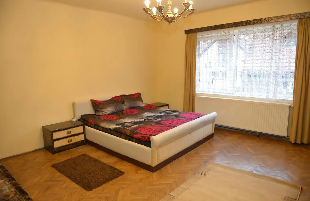 Apartament Oana-1