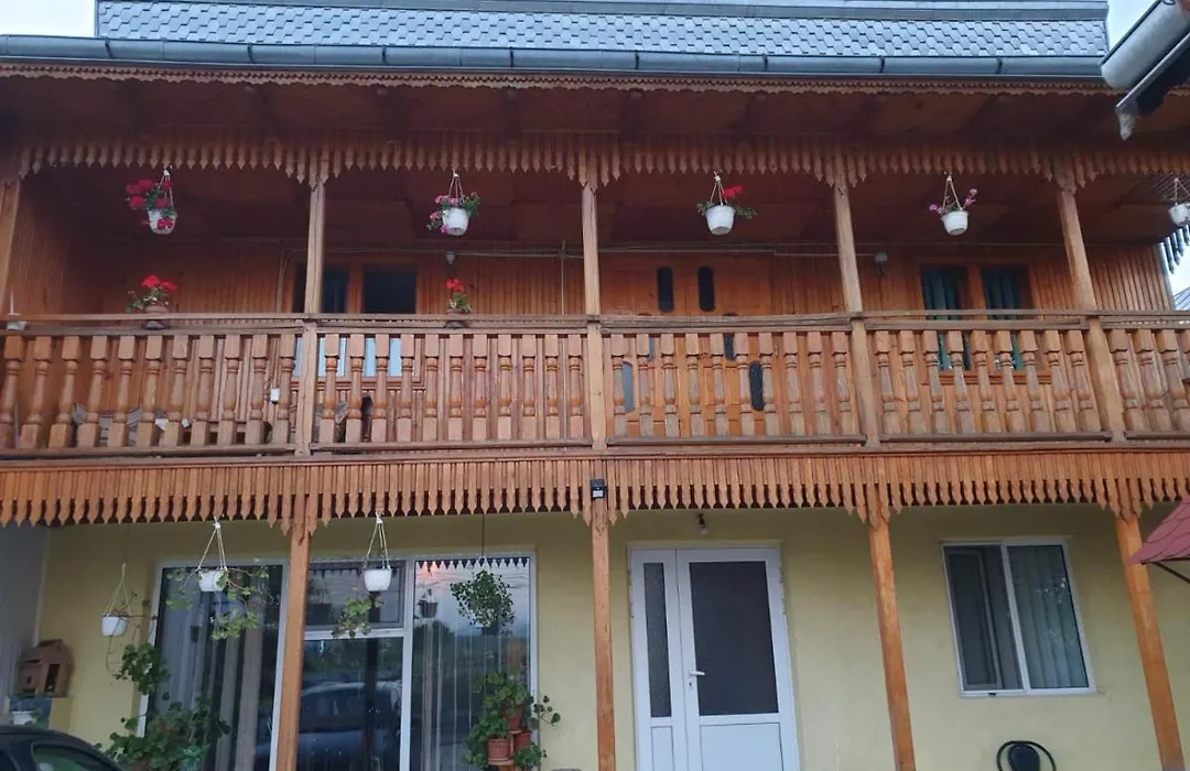 Pensiunea Casa Ana-1