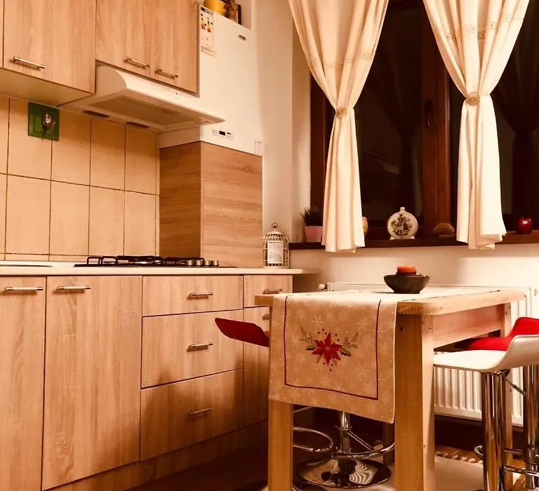 Fairytale Apartment Close To Bradu Ski Slope-1