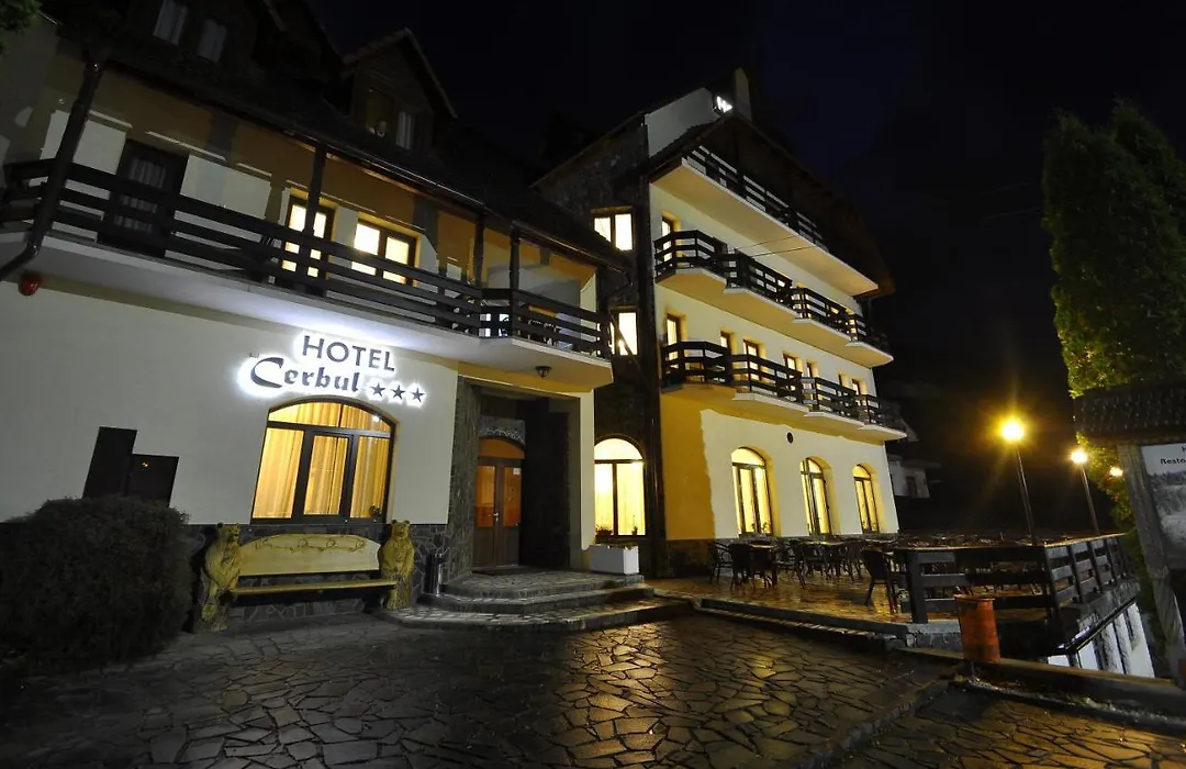 Hotel Cerbul-1