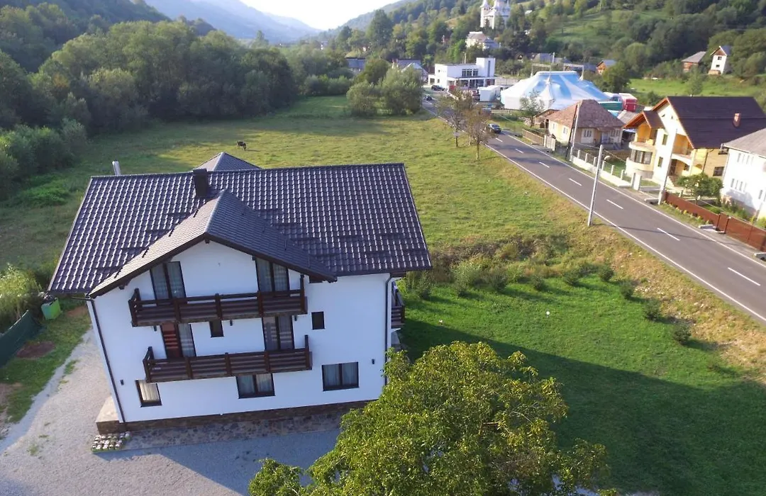 Pensiunea Vila Flavis-1