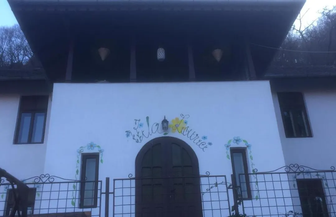 Vila Licurici-1