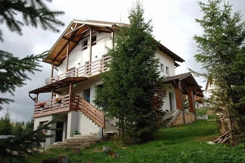 Casa De Vacanta Two Brothers Concept-1