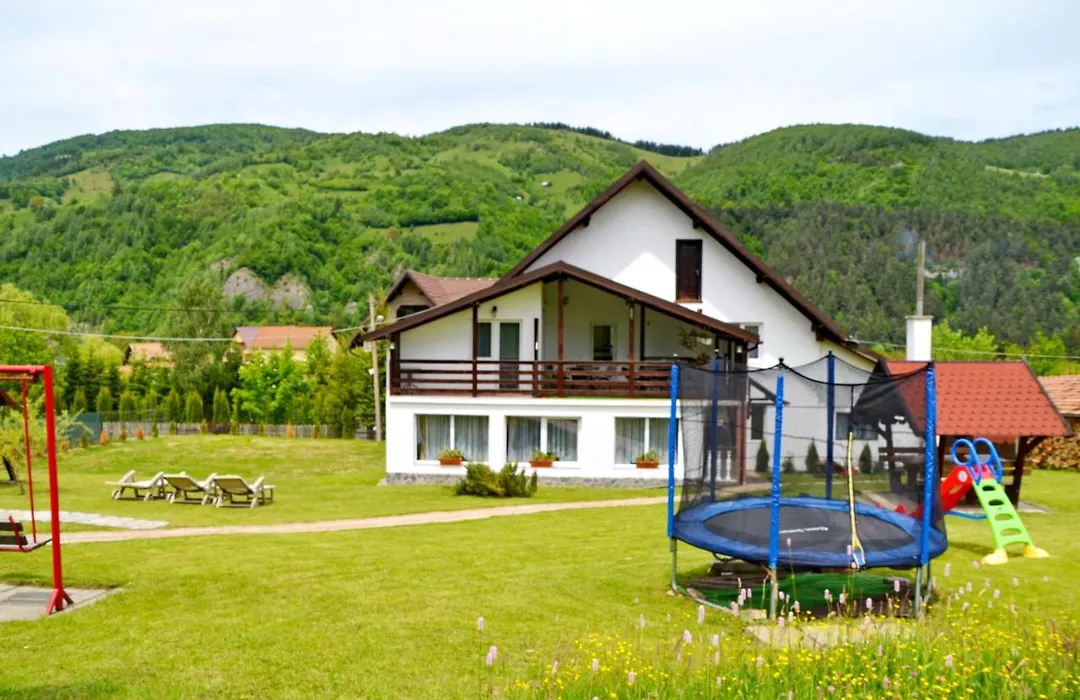 Pensiunea Casa Ady-1