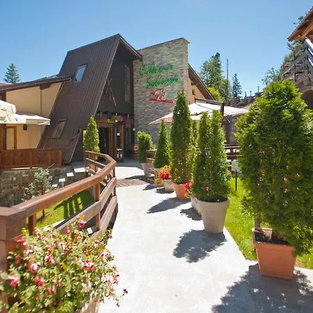 Cabana Schiori-3