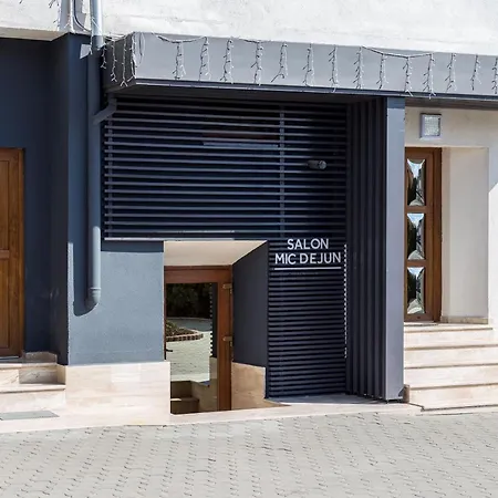 Pension Belascu-3