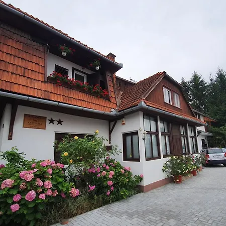 Pensiunea Schneider-2