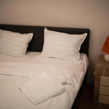 Viking Apartment Grigo-3