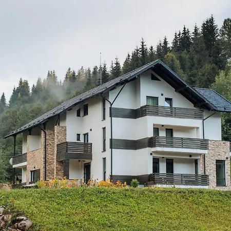 Comoara Rarăului-3