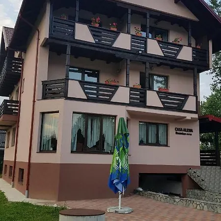 Casa Alesia Bucovina-2