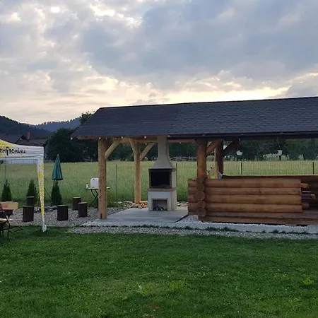 Casa Alesia Bucovina-3