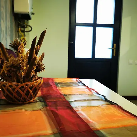 Gruen Haus Studio-3