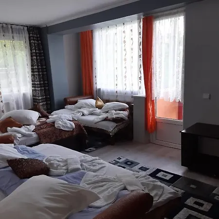 Vila Muntii Bucegi-3