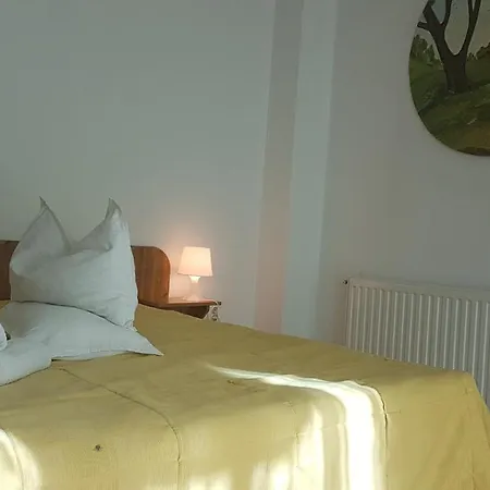 Pensiunea Casa Noastra-3