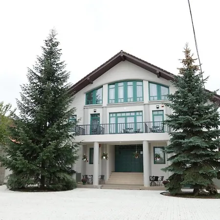 Green Villa Sibiu-2