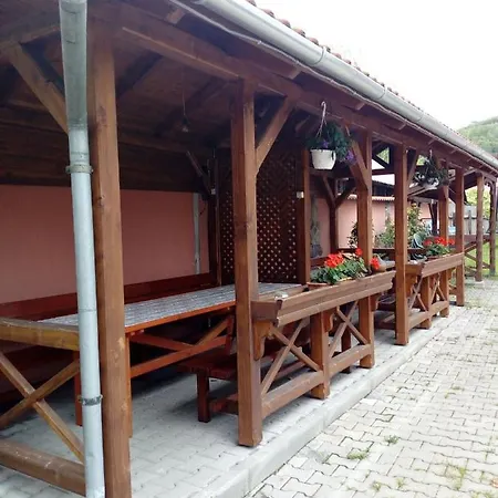 Ibolya-Imola-3