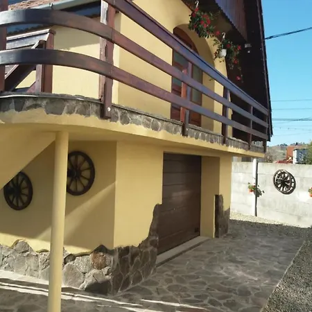 Casa Vlasea Albesti Sighisoara-3