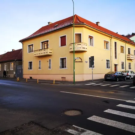 Villa Casa Ioana-3
