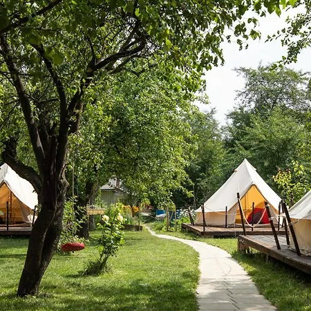 Dragonfly Gardens Urban Glamping Brasov-2