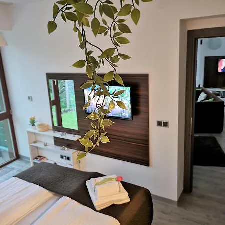 The Evergreen Nest - Silver Mountain-3