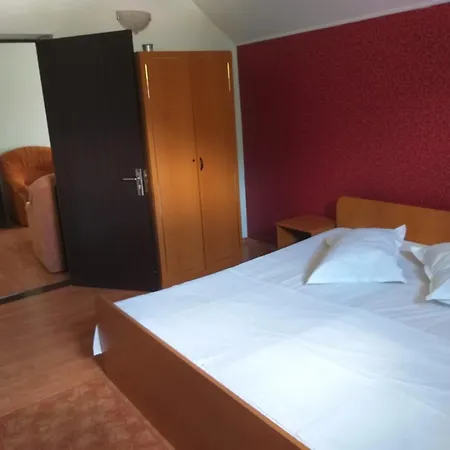 Vila Ana Lăcrămioara Concept-2