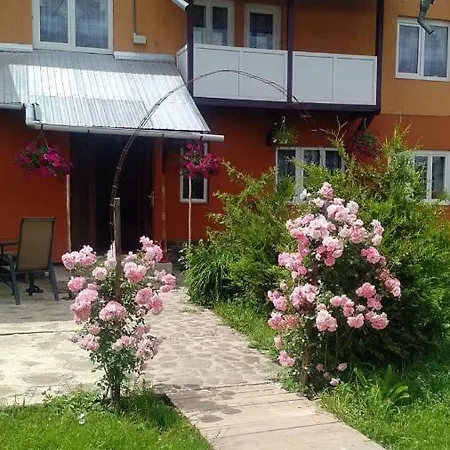 Pensiunea Lăcrămioara-2