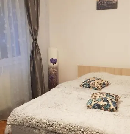 Petuniei Apartment-2