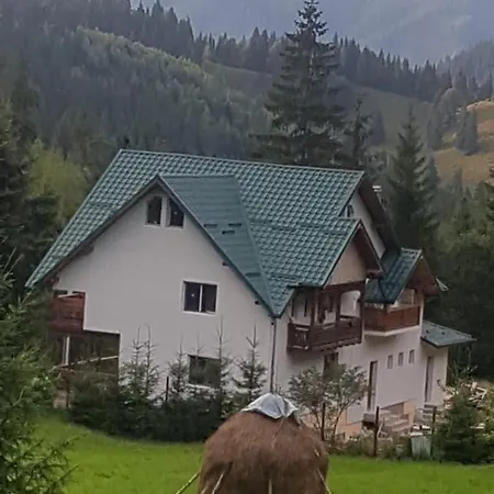 Pensiunea Gură de Rai, Pojorâta-2