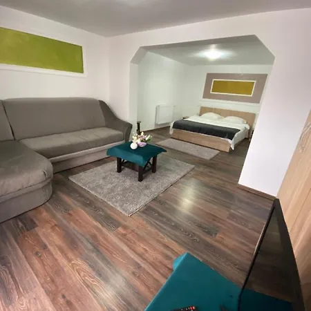 Vila Sorina-3
